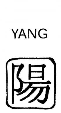 YANG