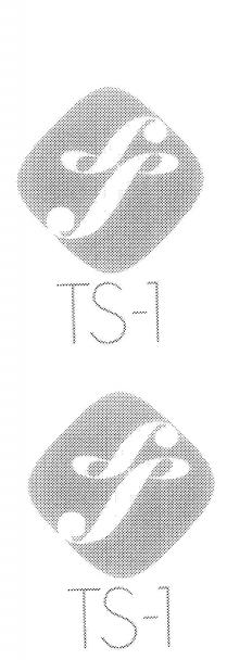 SP TS-1