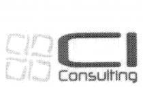 C1 CONSULTING