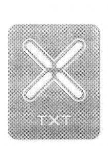 X TXT