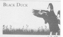 BLACK DUCK