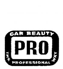 PRO CAR BEAUTY THE PROFESSIONAL WAY