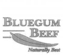 BLUEGUM BEEF NATURALLY BEST
