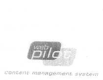 WEB PILOT CONTENT MANAGEMENT SYSTEM