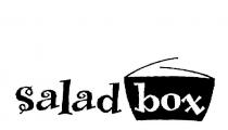 SALAD BOX