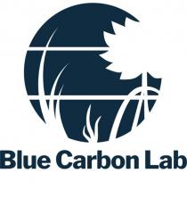 BLUE CARBON LAB