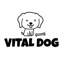 VITAL DOG