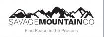 SAVAGE MOUNTAIN CO FIND PEACE IN THE PROCESS