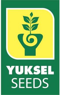 Y YÃKSEL SEEDS