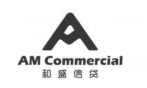 AM AM COMMERCIAL