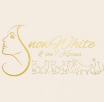 SNOW WHITE & THE 7 KITTENS