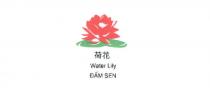 WATER LILY DAM SEN