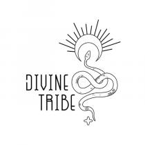 DIVINE TRIBE