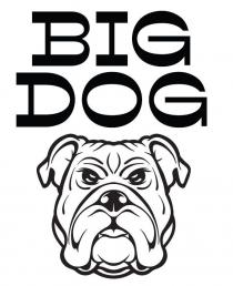 BIG DOG