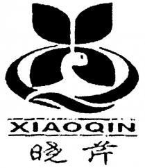 XQ XIAOQIN