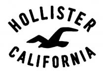 HOLLISTER CALIFORNIA