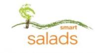 SMART SALADS