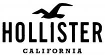 HOLLISTER CALIFORNIA