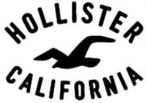 HOLLISTER CALIFORNIA