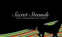 SECRET STRANDS HAIR EXTENSIONS FOR HORSES