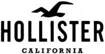 HOLLISTER CALIFORNIA