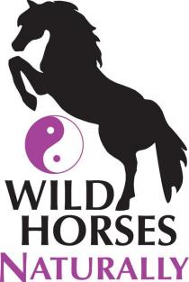 WILD HORSES NATURALLY