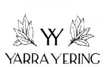 YY YARRA YERING