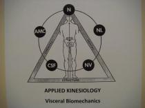 N NL NV CSF AMC STRUCTURE APPLIED KINESIOLOGY VISCERAL BIOMECHANICS