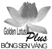 GOLDEN LOTUS PLUS BONG SEN VANG