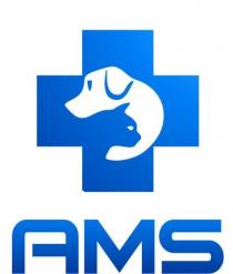 AMS