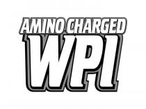 AMINO CHARGED WPI