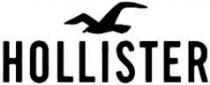 HOLLISTER