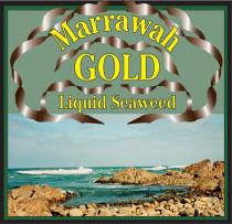 MARRAWAH GOLD LIQUID SEAWEED