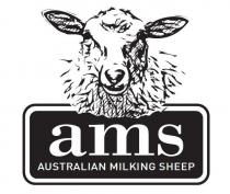 AMS AUSTRALIAN MILKING SHEEP
