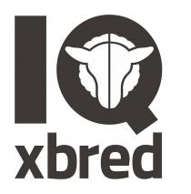 IQ XBRED