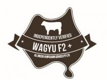 WAGYU F2+ INDEPENDENTLY VERIFIED ALL BREEDS VERIFICATION SERVICES PTY;LTD