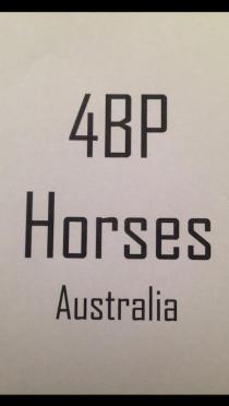 4BP HORSES AUSTRALIA