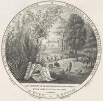 LA NOUVELLE-HOLLANDE MIEUX CONNUE VEGETAUX UTILES NATURALISES EN;FRANCE M.DCCC. M.DCCCIV. LES CORVETTES LE GEOGRAPHE, LE NATURALISTE;ET LA GOELETTE LE CASUARINA.