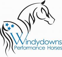 WINDYDOWNS PERFORMANCE HORSES