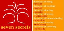 SEVEN SECRETS THE SECRET OF BEING SURVIVAL THE SECRET OF WANTING;EMOTION THE SECRET OF ACTING CHARACTER THE SECRET OF LOVING;RELATIONSHIPS THE SECRET OF COMMUNICATING EXPRESSION THE SECRET OF;SEEING TRUTHFULNESS THE SECRET OF KNOWING SPIRITUALITY