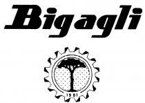 BIGAGLI 1901