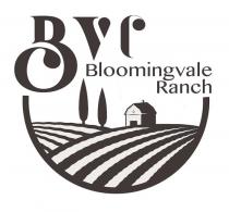 BVR BLOOMINGVALE RANCH