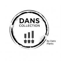 DANS COLLECTION BY DANS PLANTS
