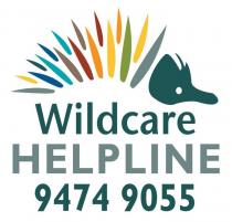 WILDCARE HELPLINE 9474 9055