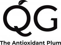 QG THE ANTIOXIDANT PLUM