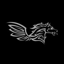 The Empowered Equestrian / La Cavalière Libérée