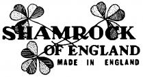 SHAMROCK OF ENGLAND