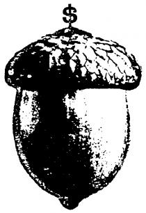 ACORN DESIGN
