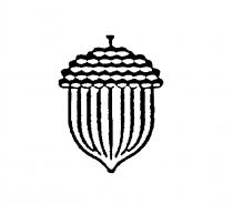 ACORN DESIGN