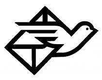 BIRD-DOVE & ENVELOPE DESIGN